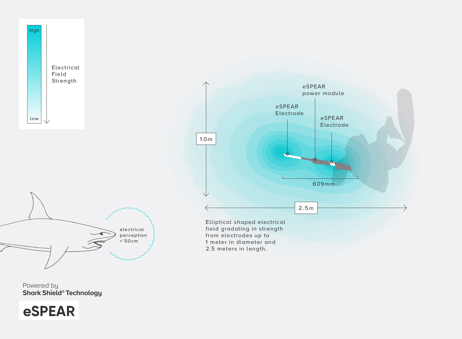 Ocean Guardian USA - How it Works - Ocean Guardian’s patented Shark Shield Technology - eSPEAR illustrative infogram