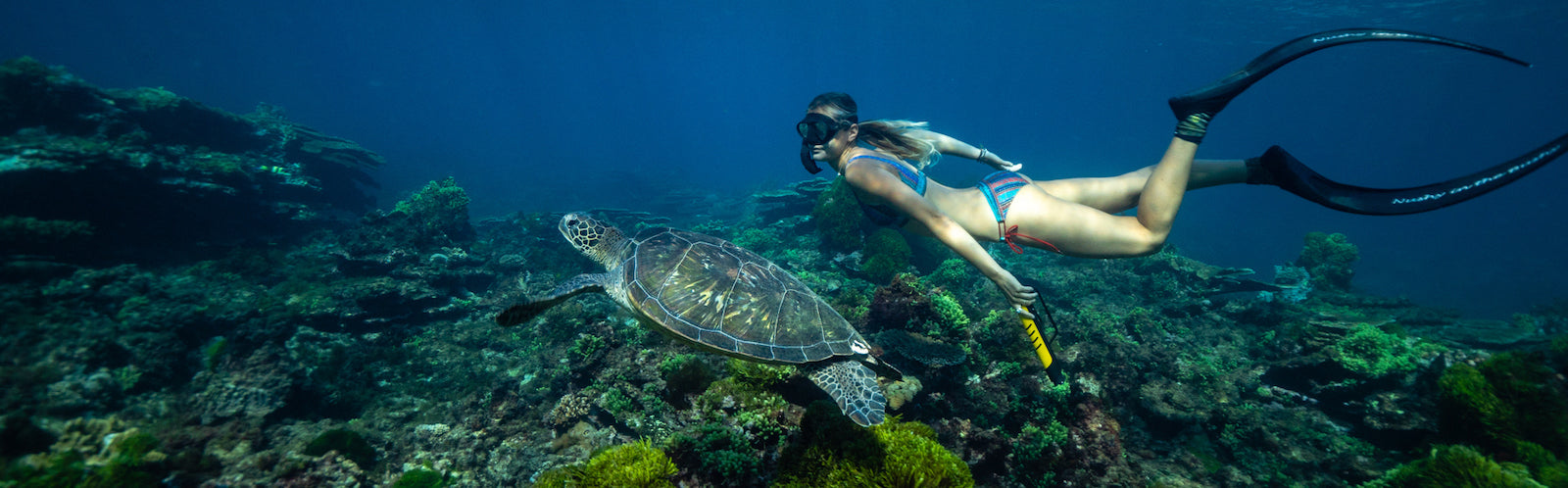 Ocean Guardian USA - Get the world's most effective shark deterrents - Woman snorkelling with Turtles